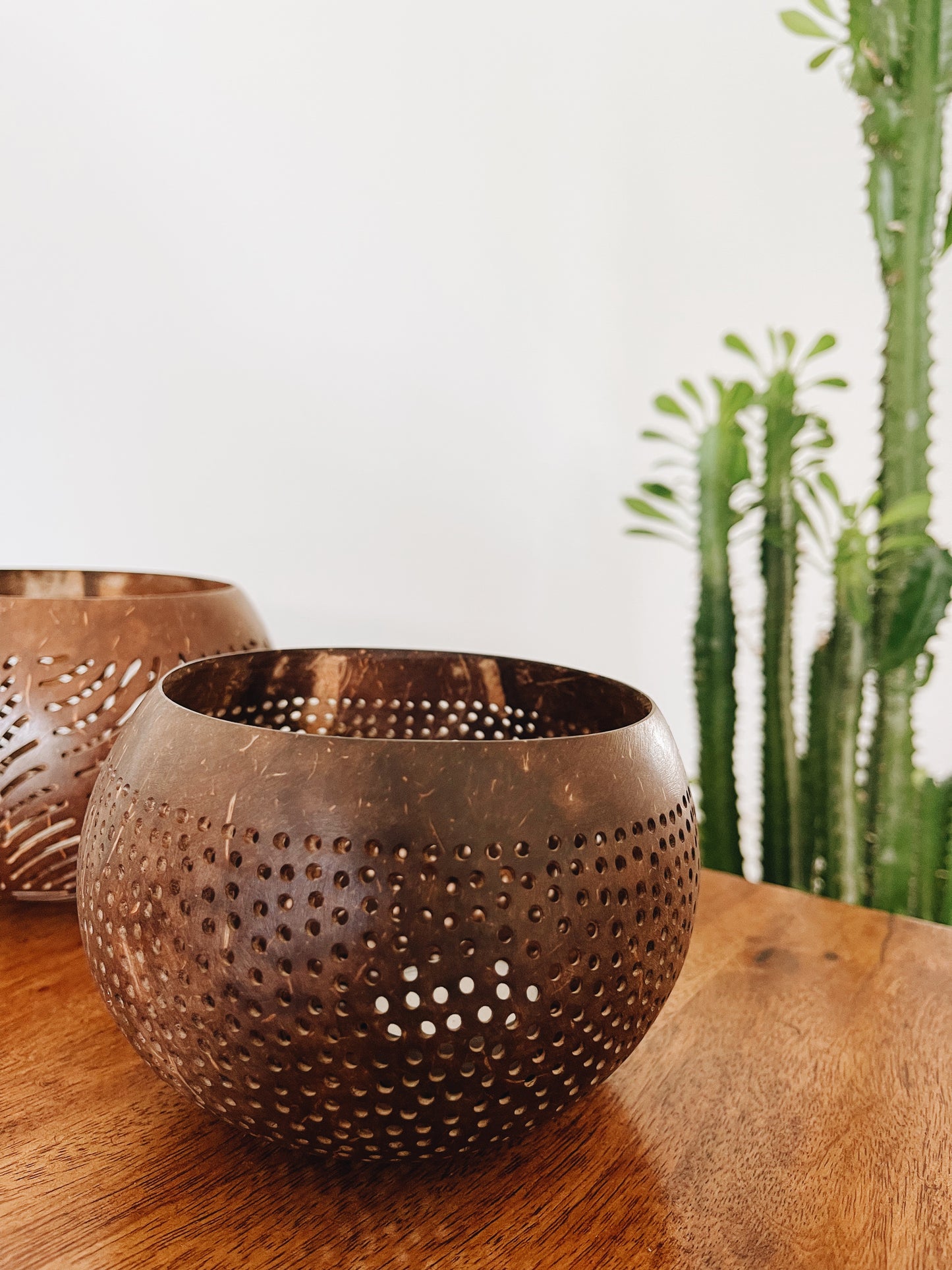 Coconut Decor Brown Dots