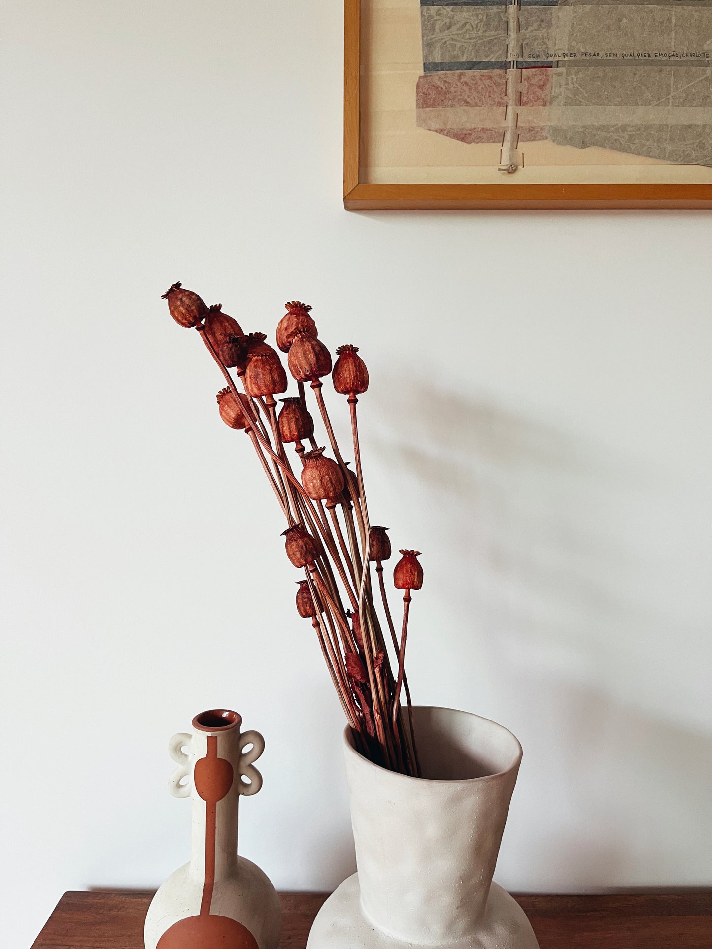 Papaver Red Dried Flowers