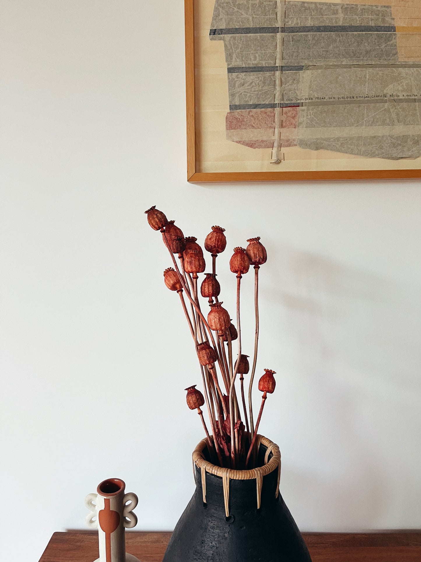 Papaver Red Dried Flowers