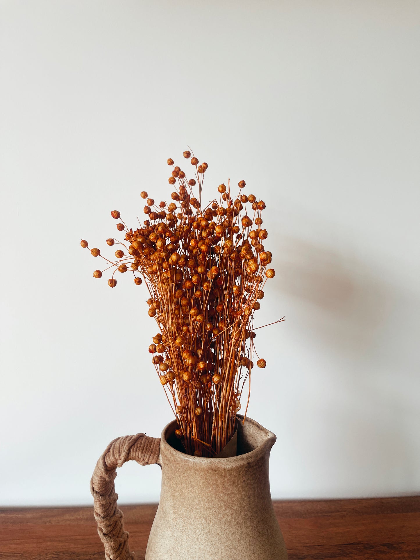 Linum Orange Dried Flowers