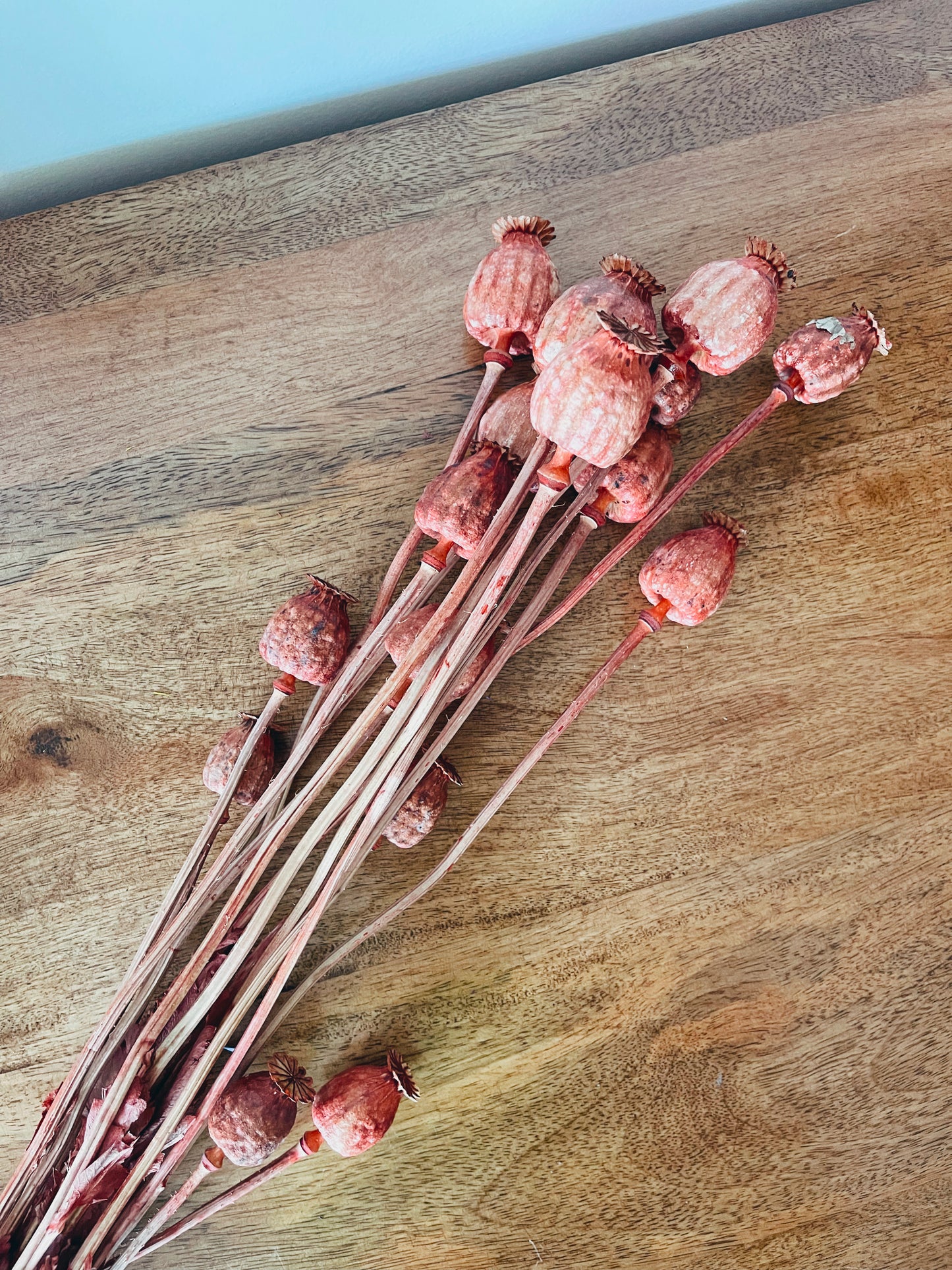 Papaver Red Dried Flowers