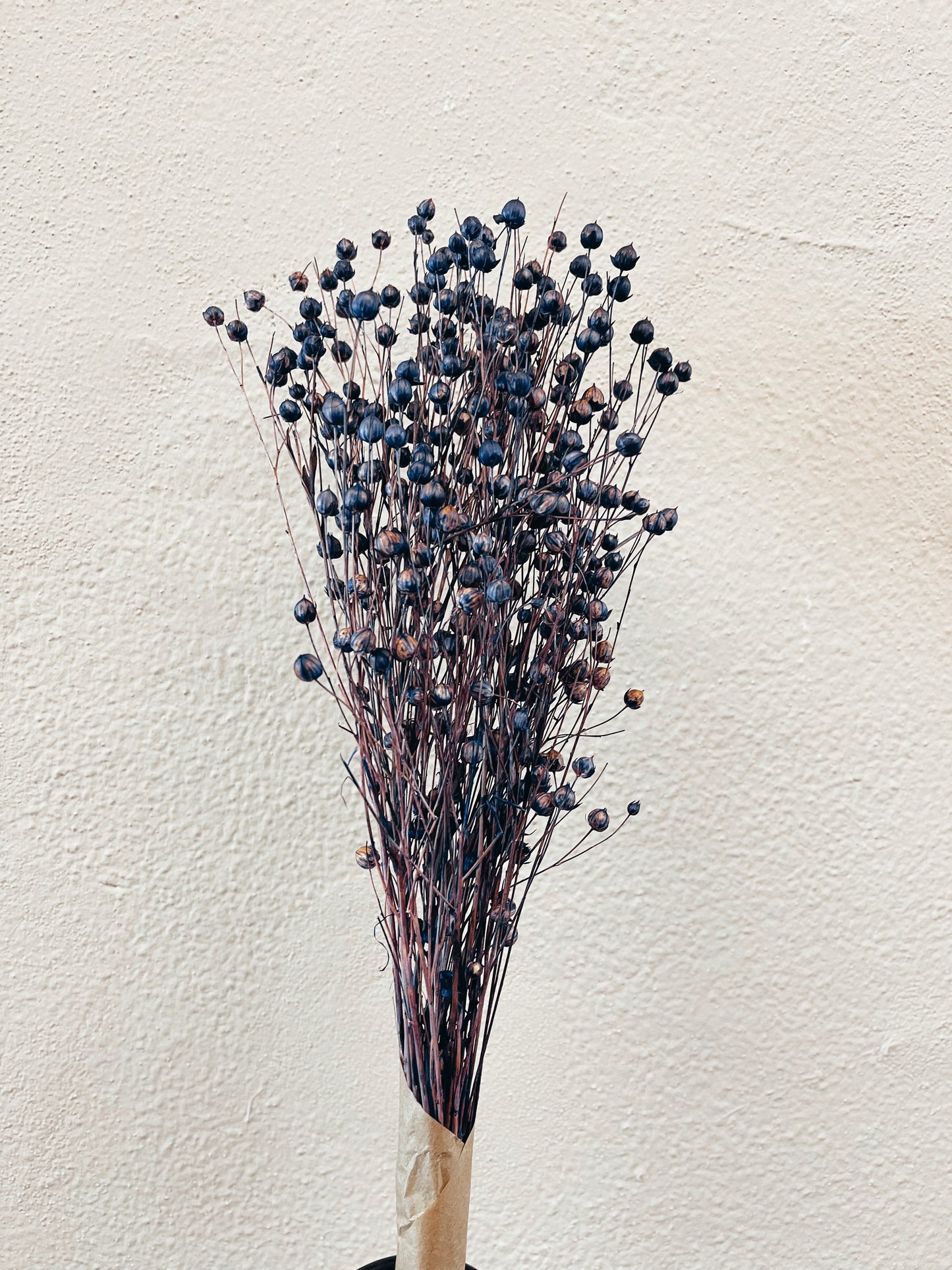 Linum Roxo