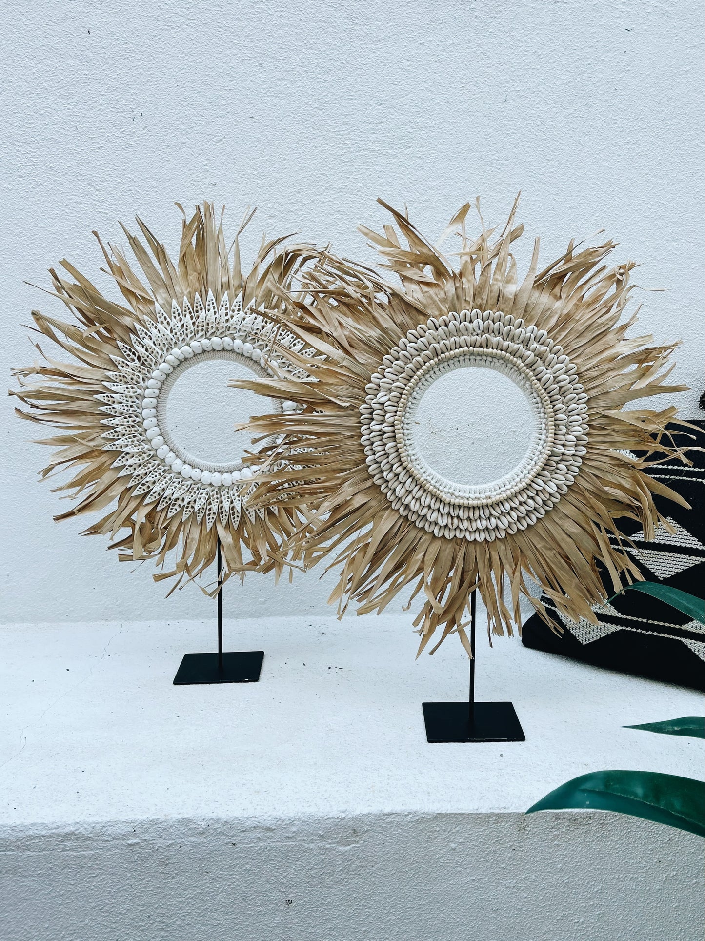 Lorosae Shell Decor on Stand