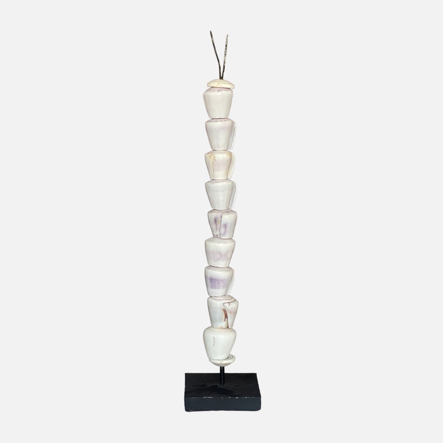 Caicoli Shell on Stand