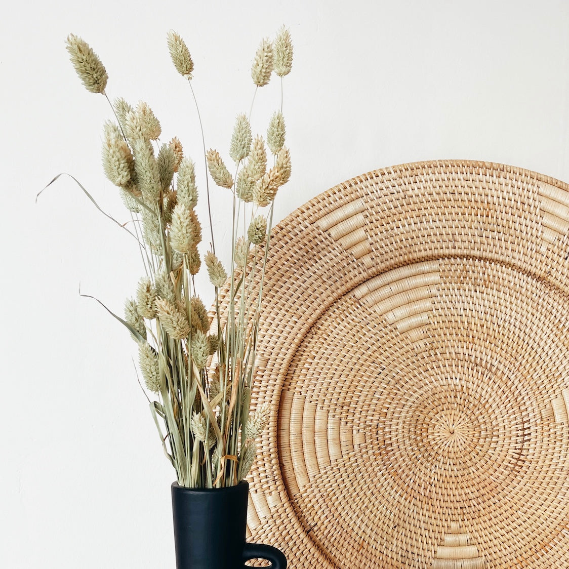 Droge Phalaris Bloemen Natuurlijk