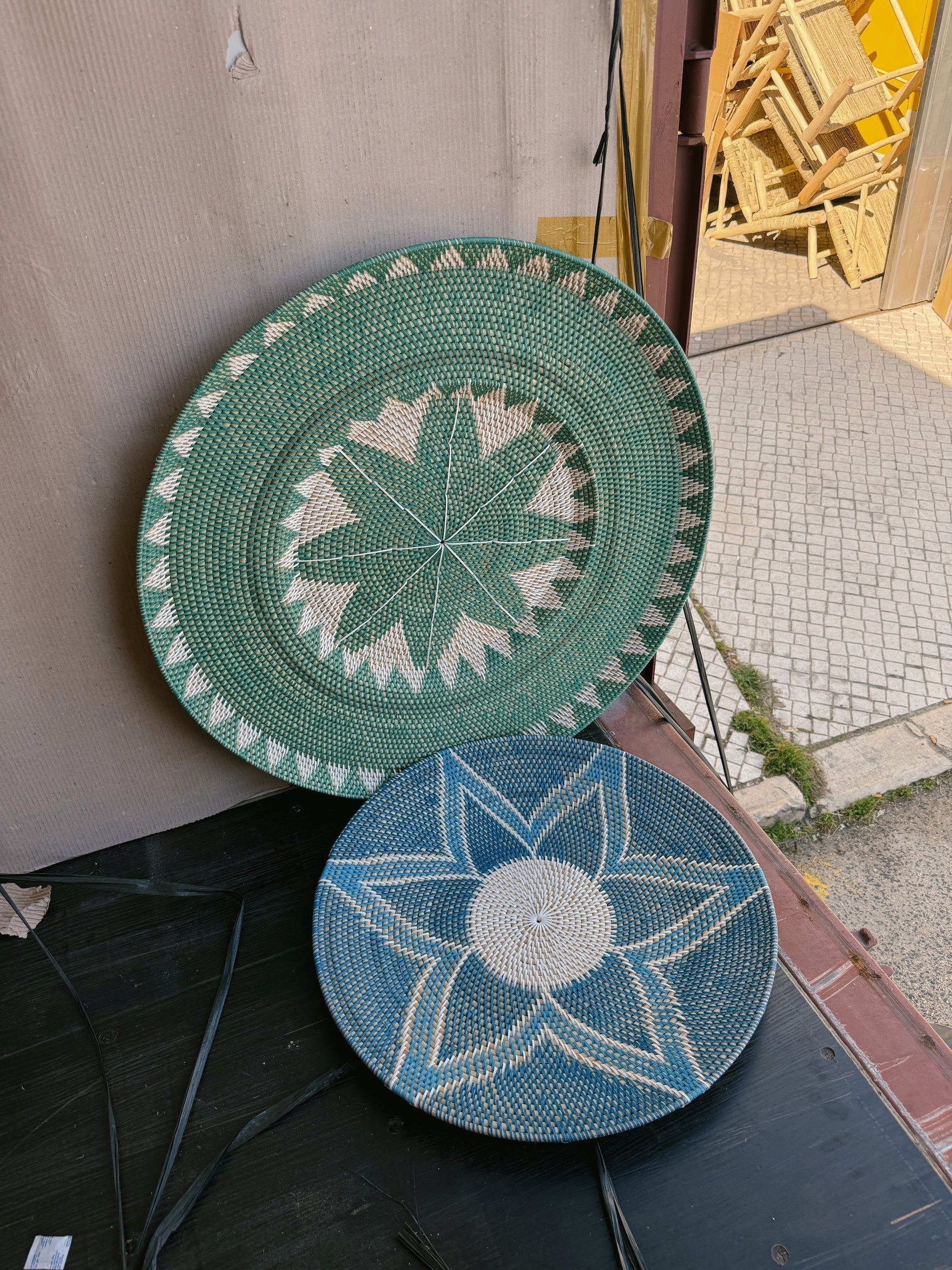 Prato de Parede Verde Menta: a Nova Tendência em Decoração Natural 💚