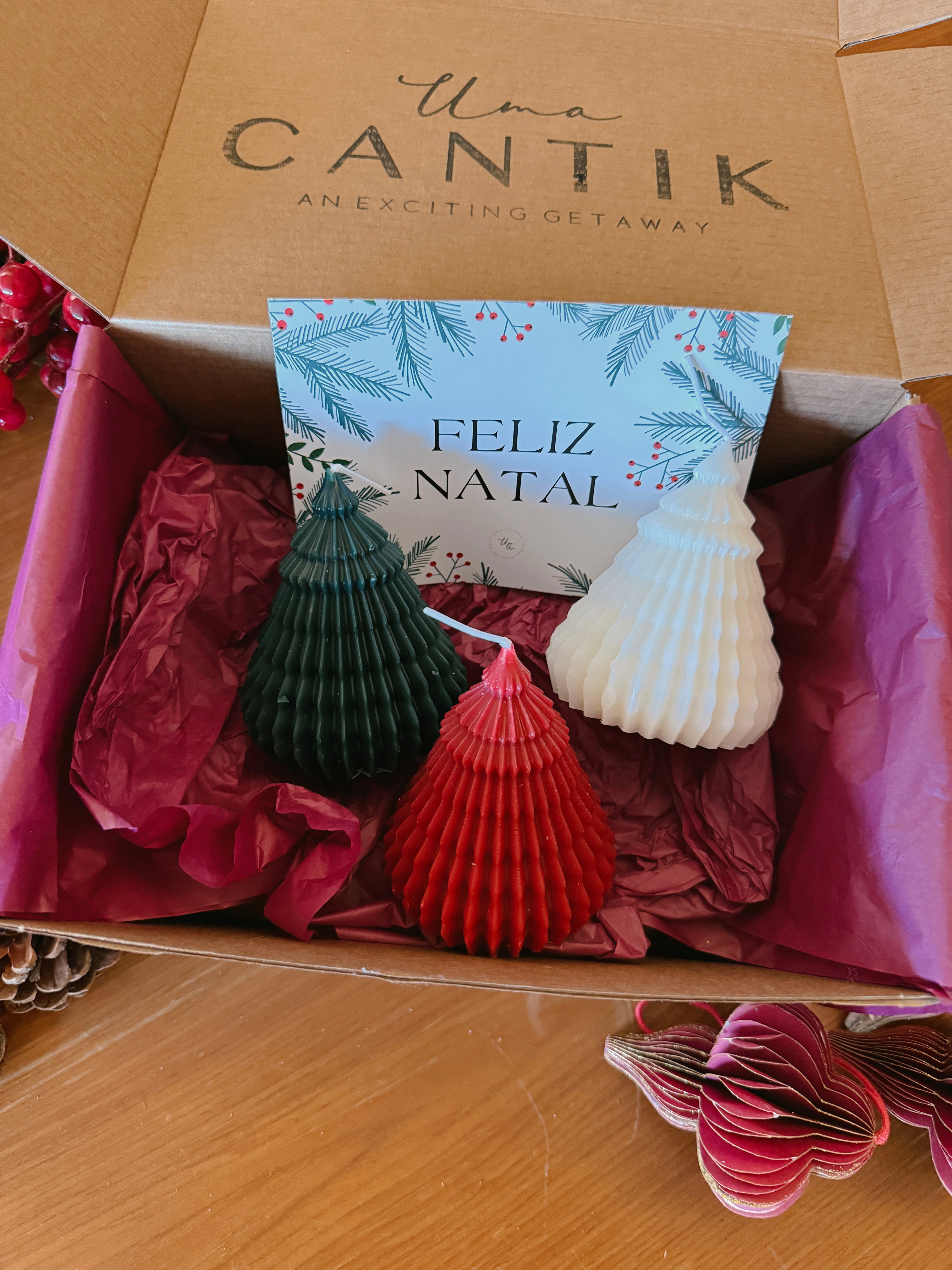 Gift Box #1 - Set Árvores de Natal