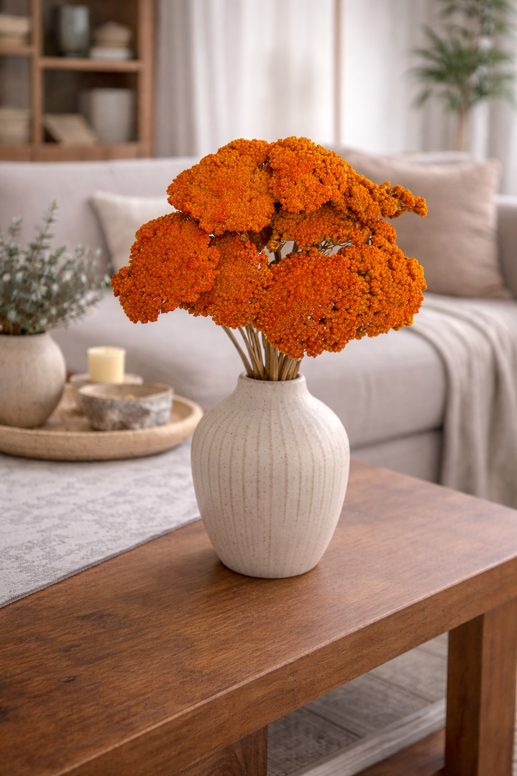 Flores Secas Achillea Parker Laranja