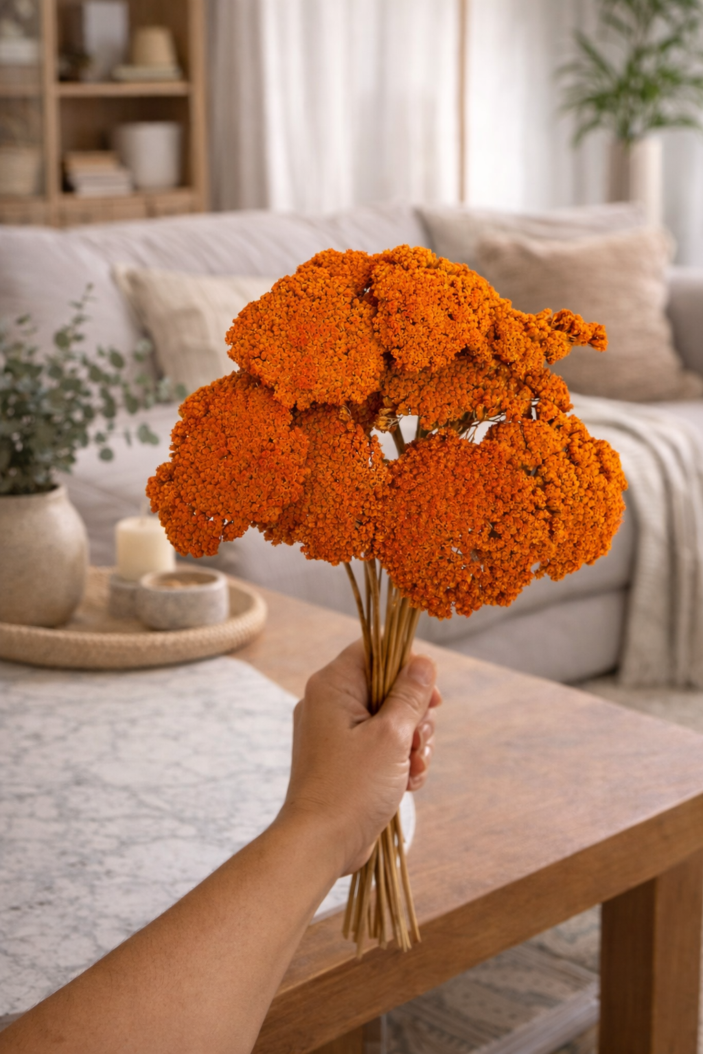Flores Secas Achillea Parker Laranja