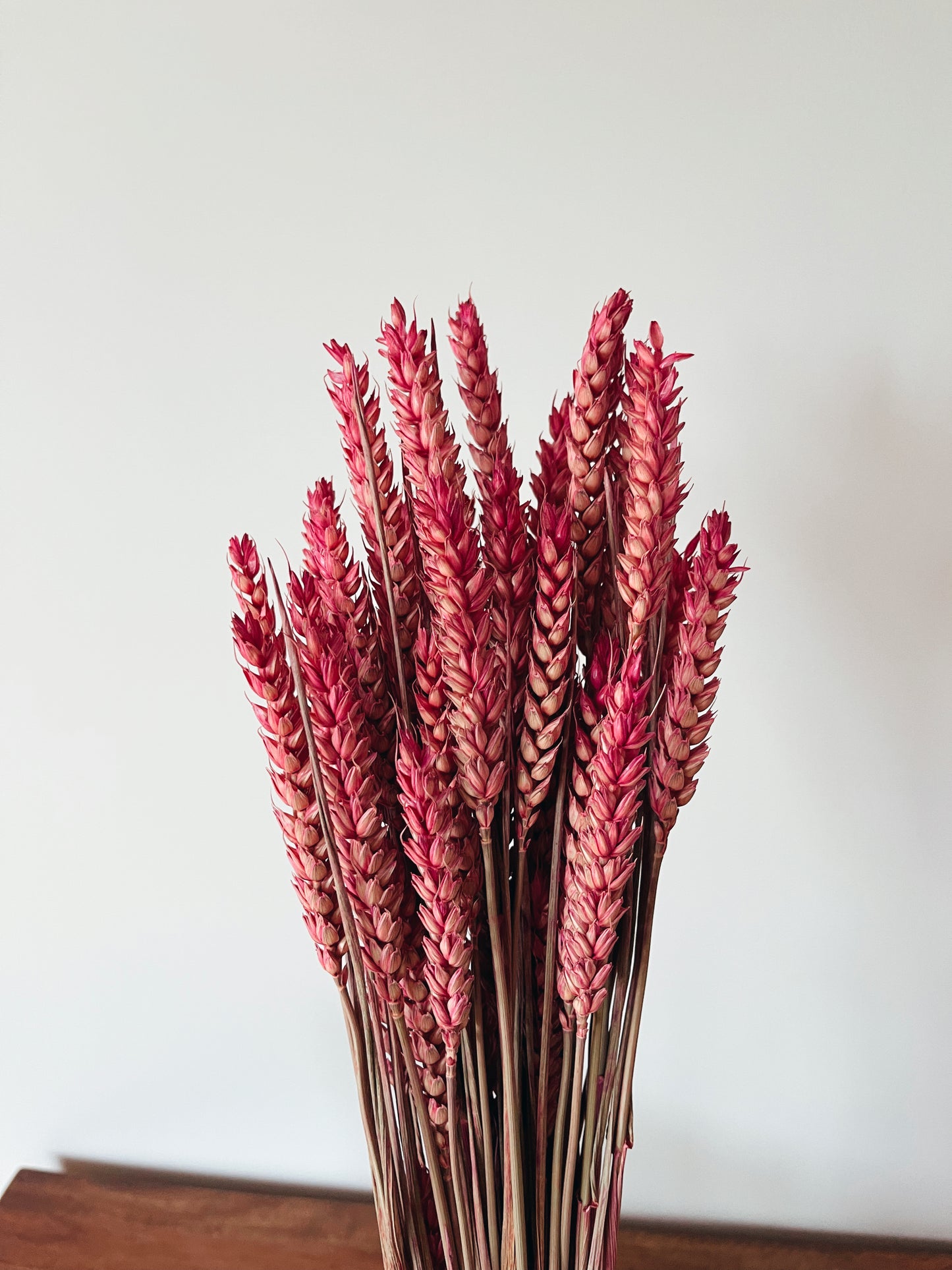 Wheat Pink Dried Flowers