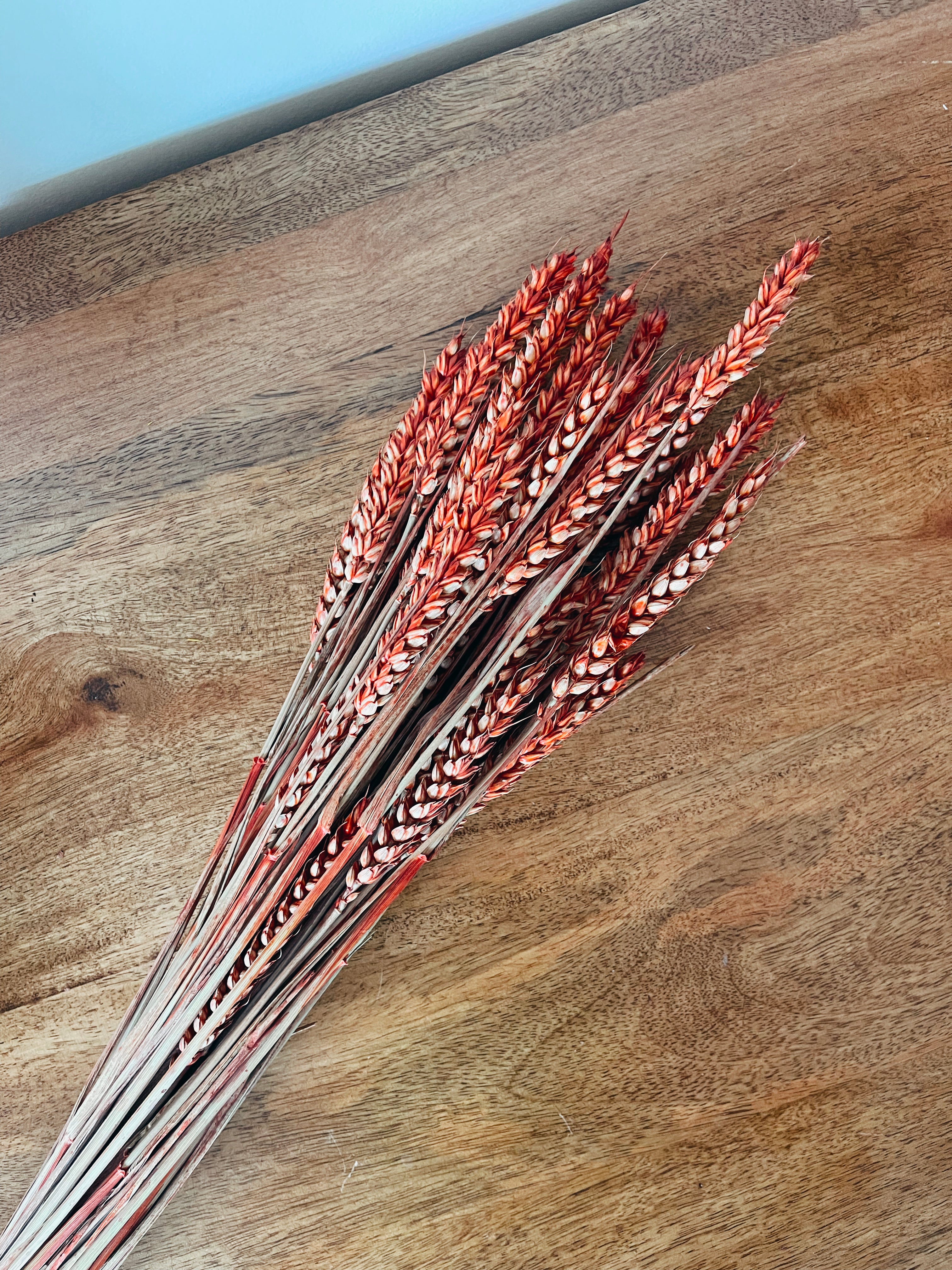 Wheat Red Dried Flowers