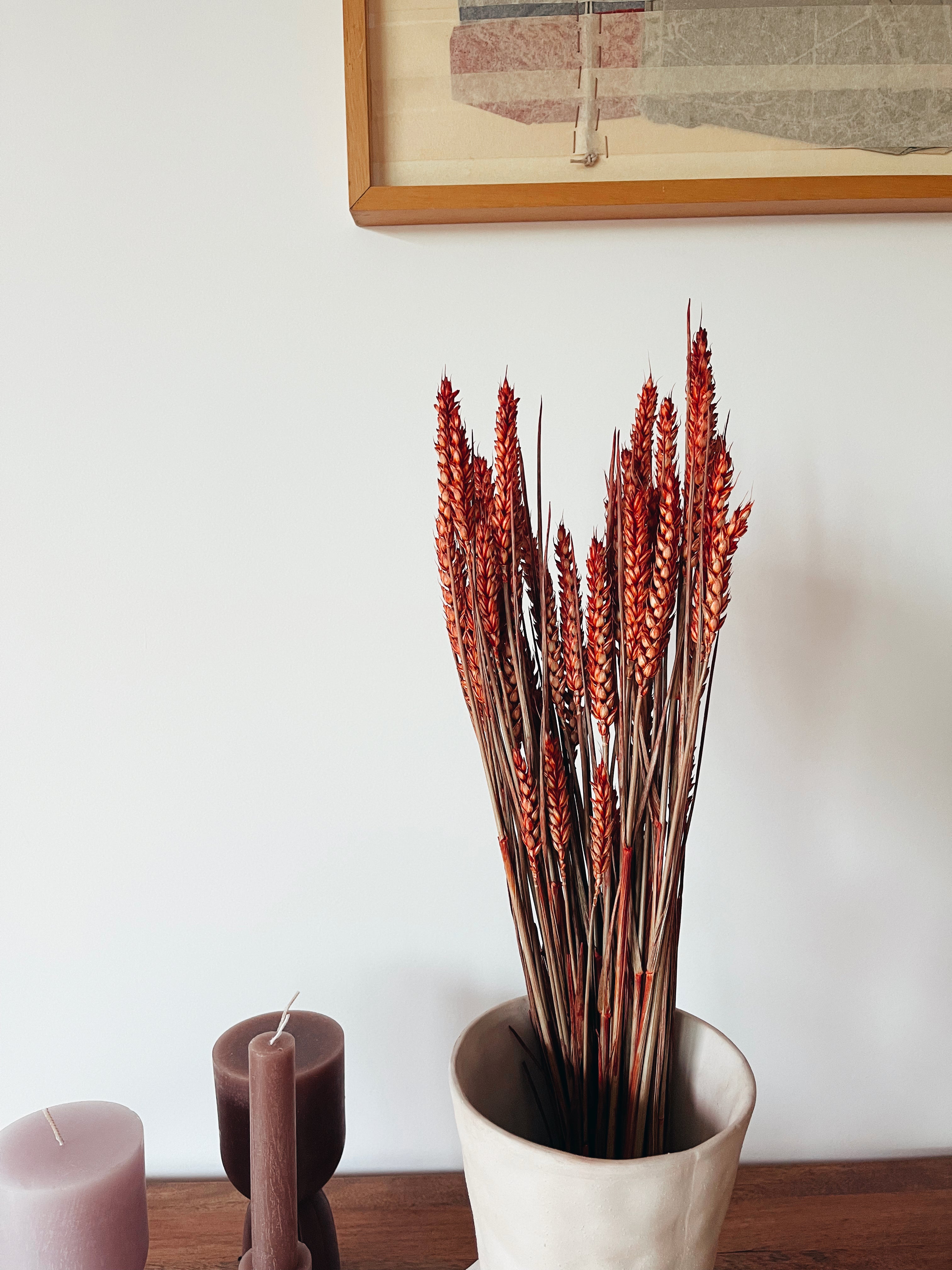 Wheat Red Dried Flowers