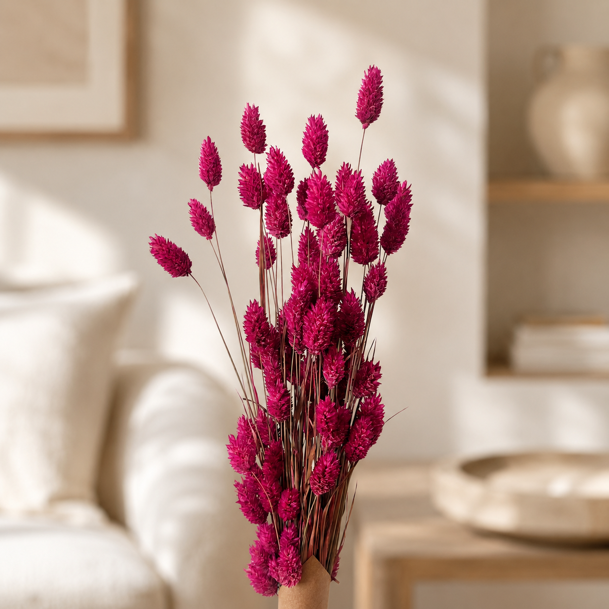 Dried Phalaris Flowers Pink