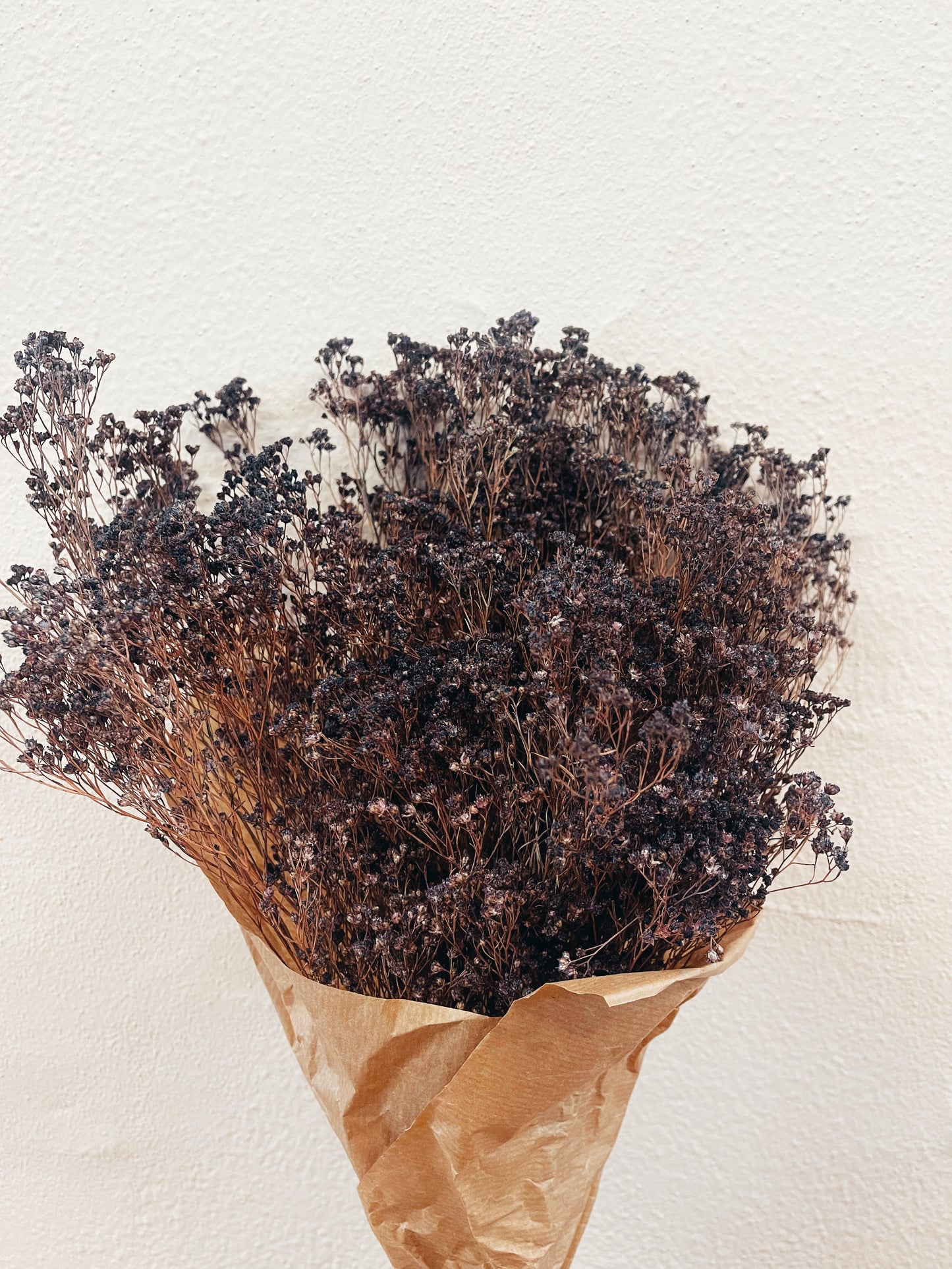 Broom Bloom Purple Dried Flowers