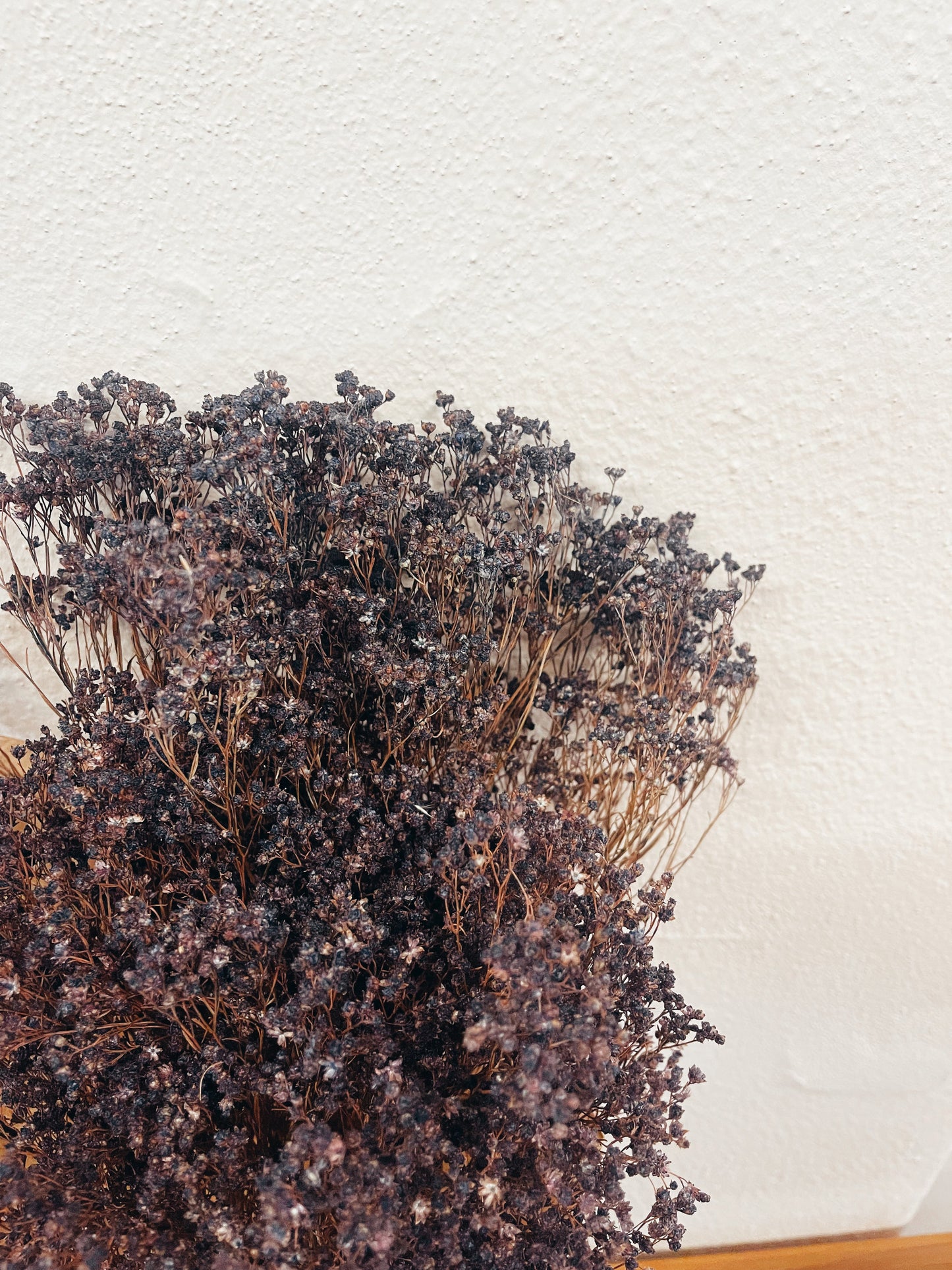 Broom Bloom Purple Dried Flowers
