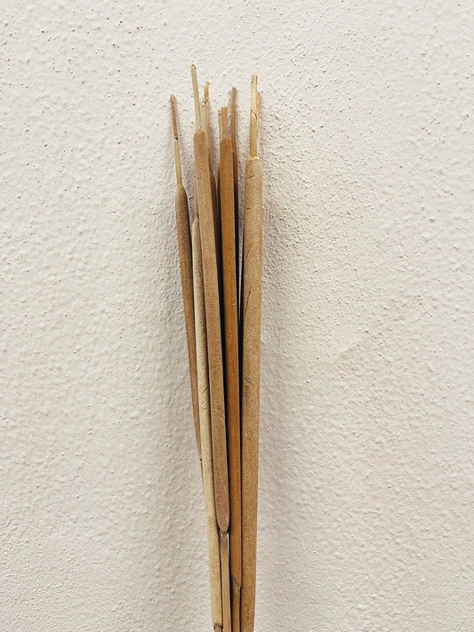 Typha Dried Flowers
