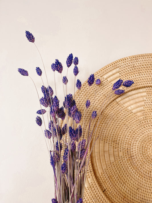 Phalaris Purple Dried Flowers