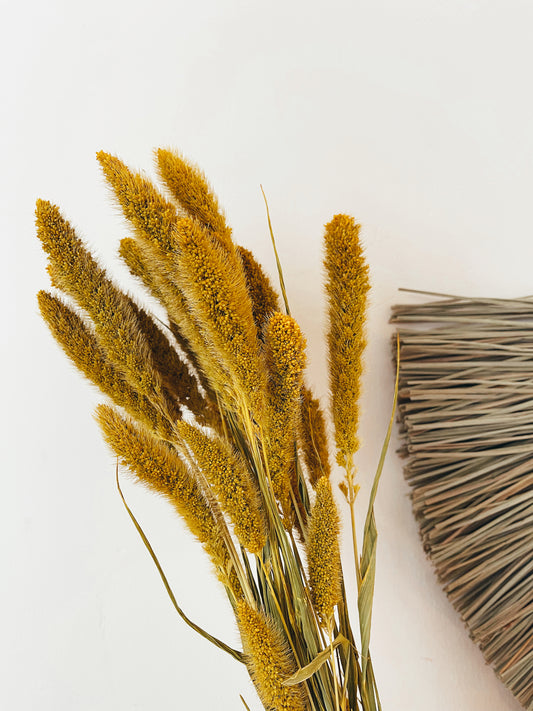 Wheat Natural Dried Flowers – Uma Cantik